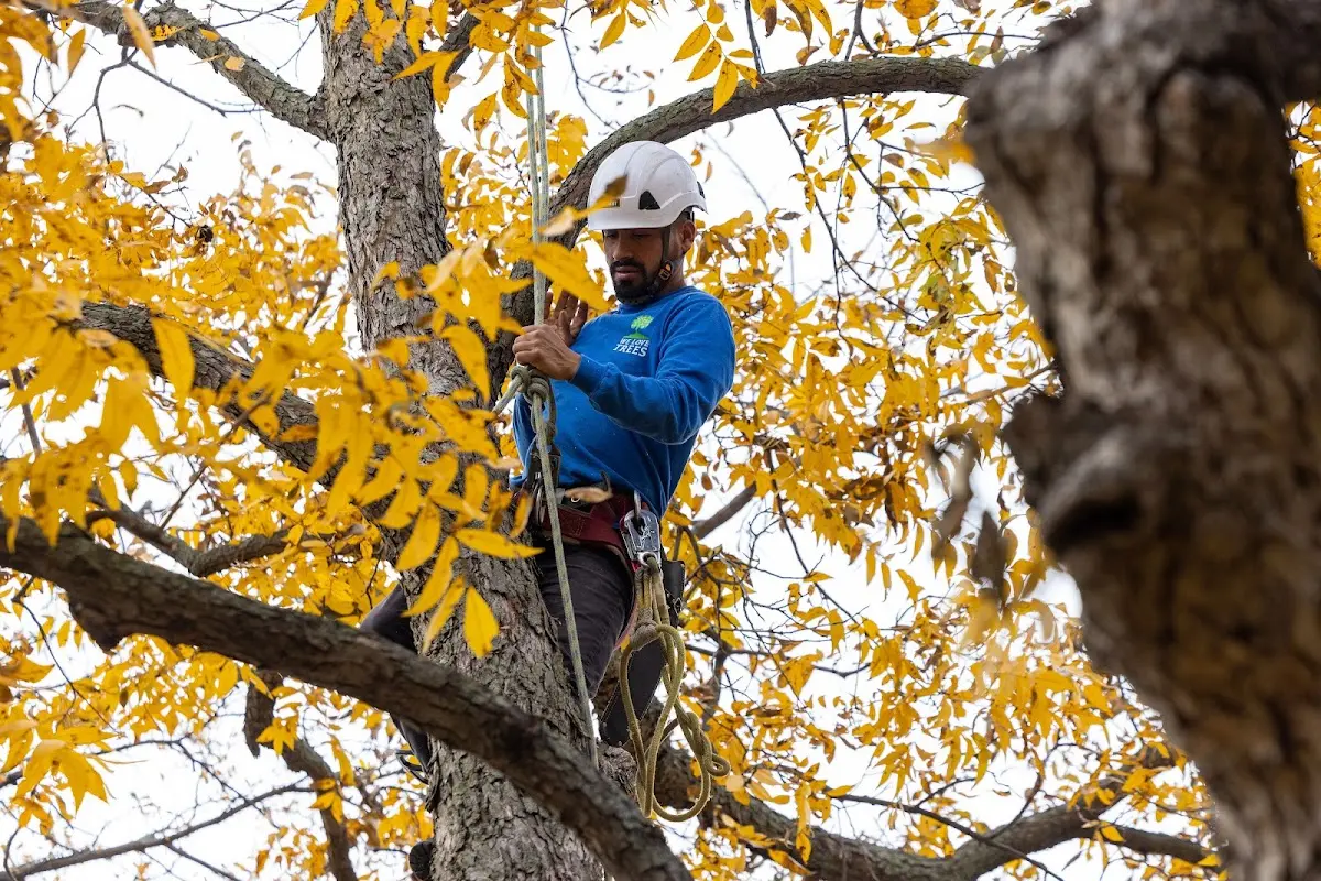 Skilled Storm Damage Cleanup crew working in Lake